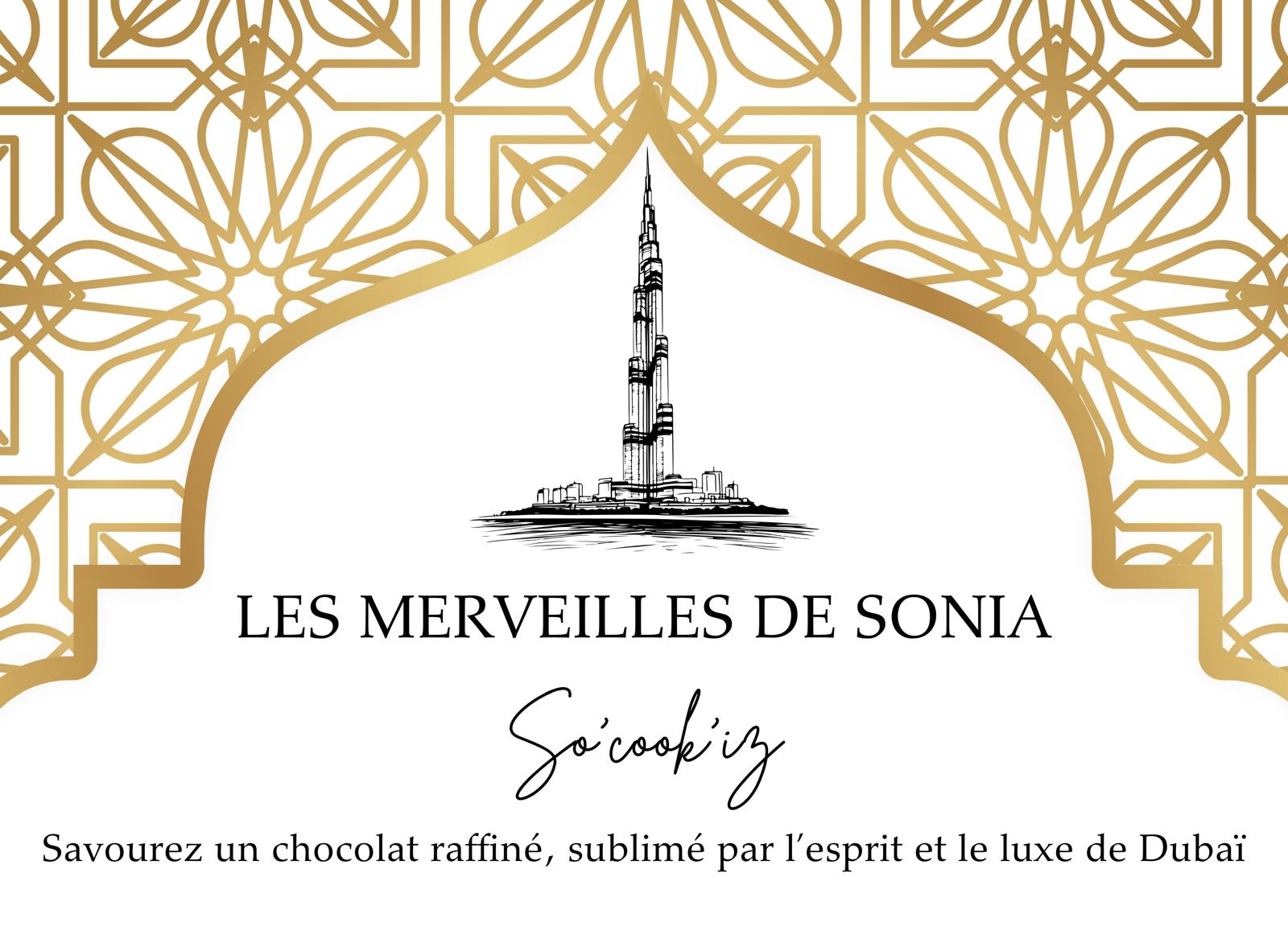 logo-merveilles-de-sonia